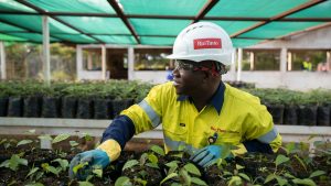 Opportunities in Australia