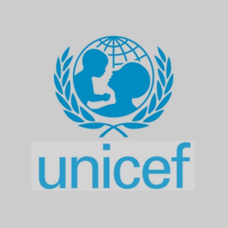 UNICEF Enrols Over 33,000 Out-of-School Children in Borno on Digital ...